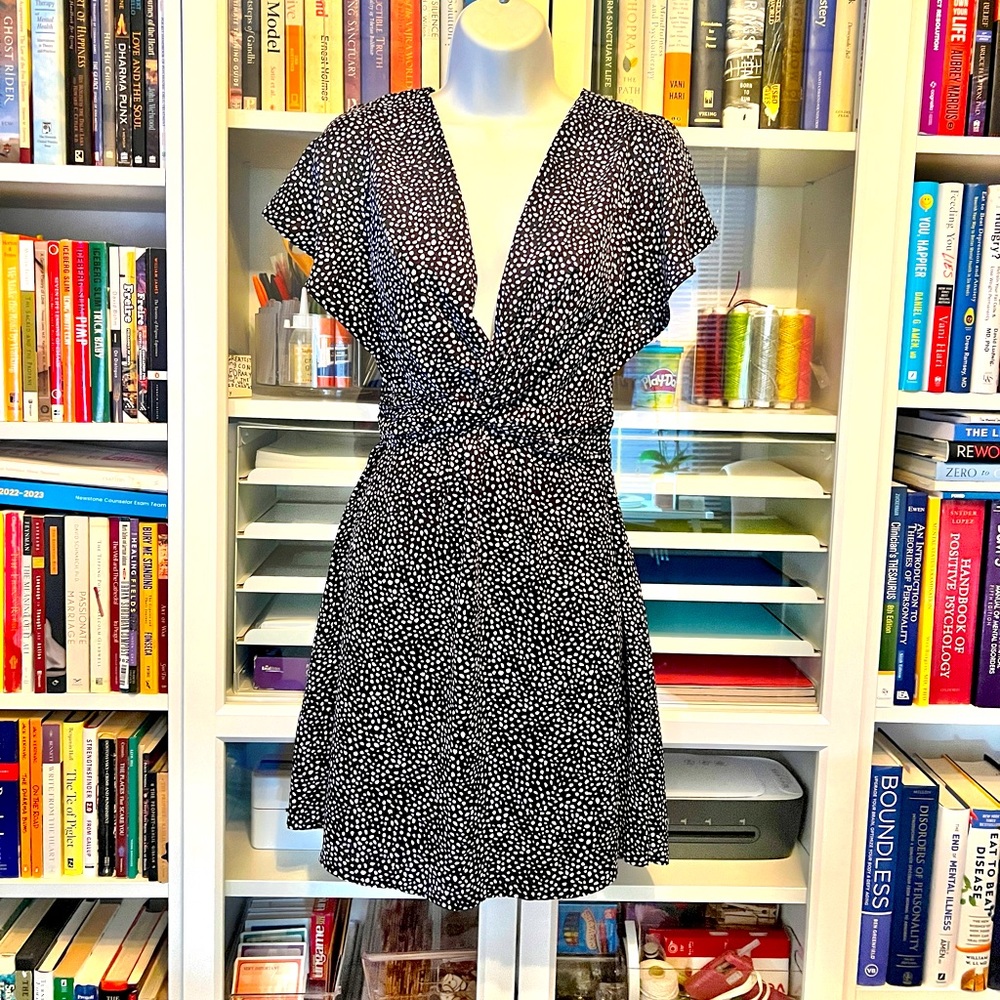 Express Shift Dress